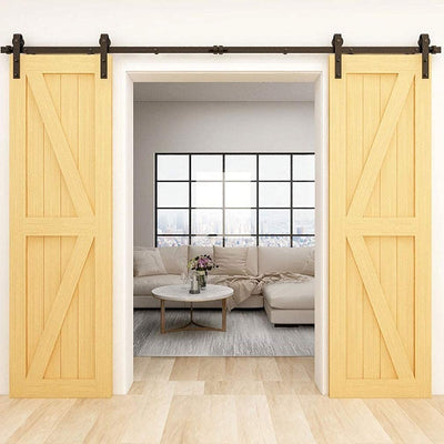 double barn door track